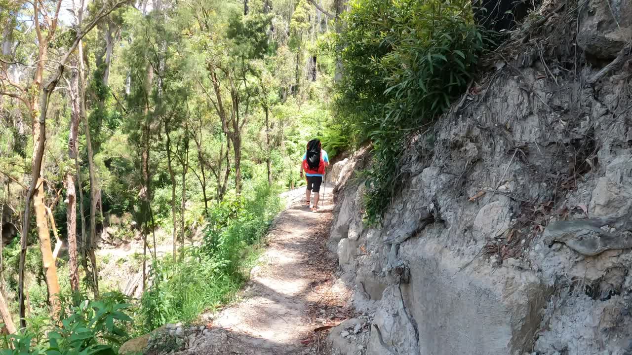 경치 좋은 숲 길 을 따라 산책 하는 두 사람