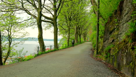 Schöner-Teil-Des-Fjellveien-Mit-Grünen-Bäumen-Und-Einer-Tollen-Aussicht-Auf-Die-Stadt-Darunter