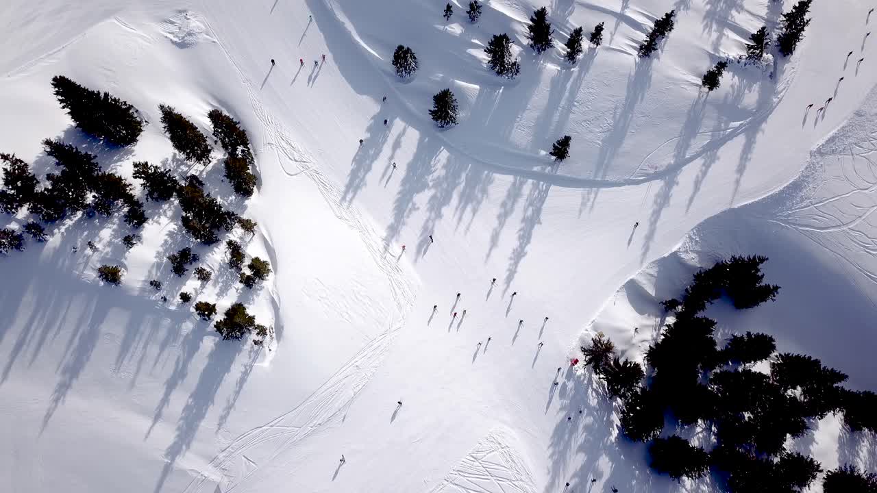 Aerial view of People Skiing and snowboarding on hill, Ski Resort