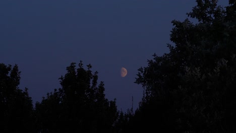 shots of the moon including timelapse and slowmotion