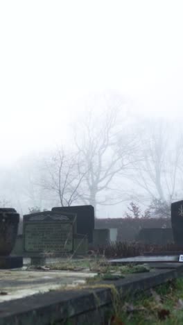 foggy cemetery landscape