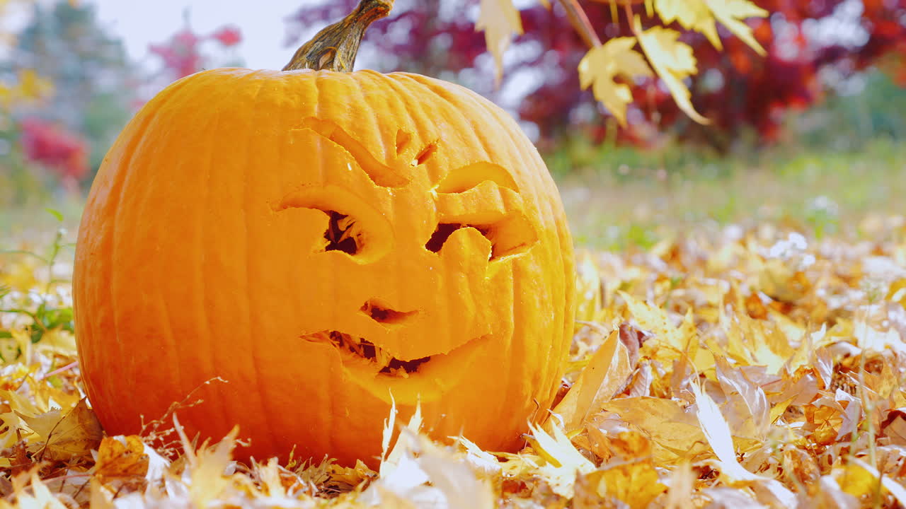 cara de primer plano tallada en una calabaza 1