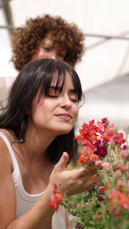 woman smelling snapdragon flowers in greenhouse. vertical