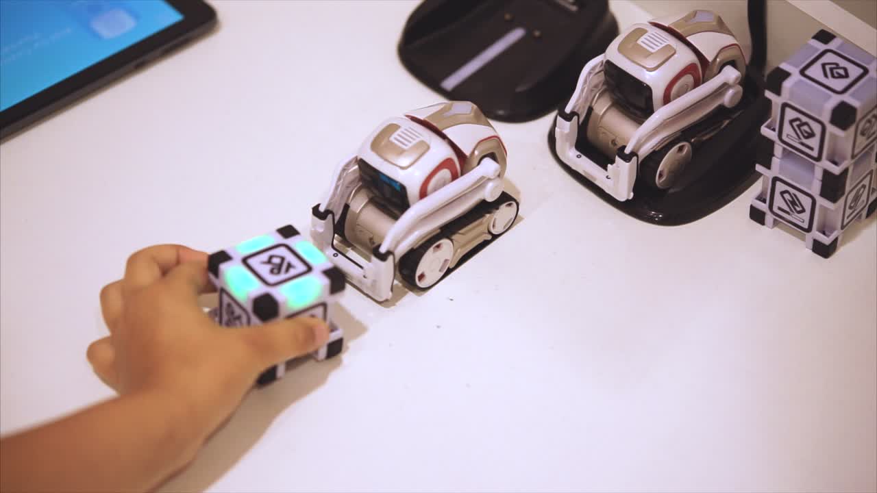 Child Playing with Educational Robots