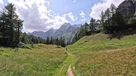 lone hiker walking through alpine meadow toward the jagged peaks of the albrunhorn and punta della rossa in alpe devero, piedmont, italy