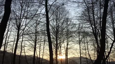 Walking-on-a-forest-road,-early-spring-season,-with-beautiful-light-coming-from-sunset