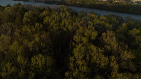 Aerial-footage-flying-over-trees-and-panning-up-to-reveal-the-Tennessee-River-and-downtown-Chattanooga