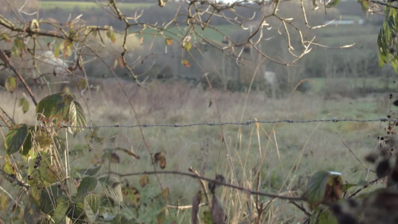 Winter landscape view of fields through trees and barbed wire fence