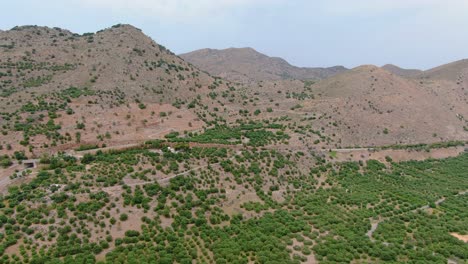 arid mountains and green tree fields of crete island