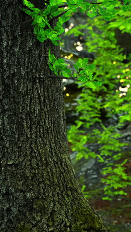 close-up of a tree trunk in a forest