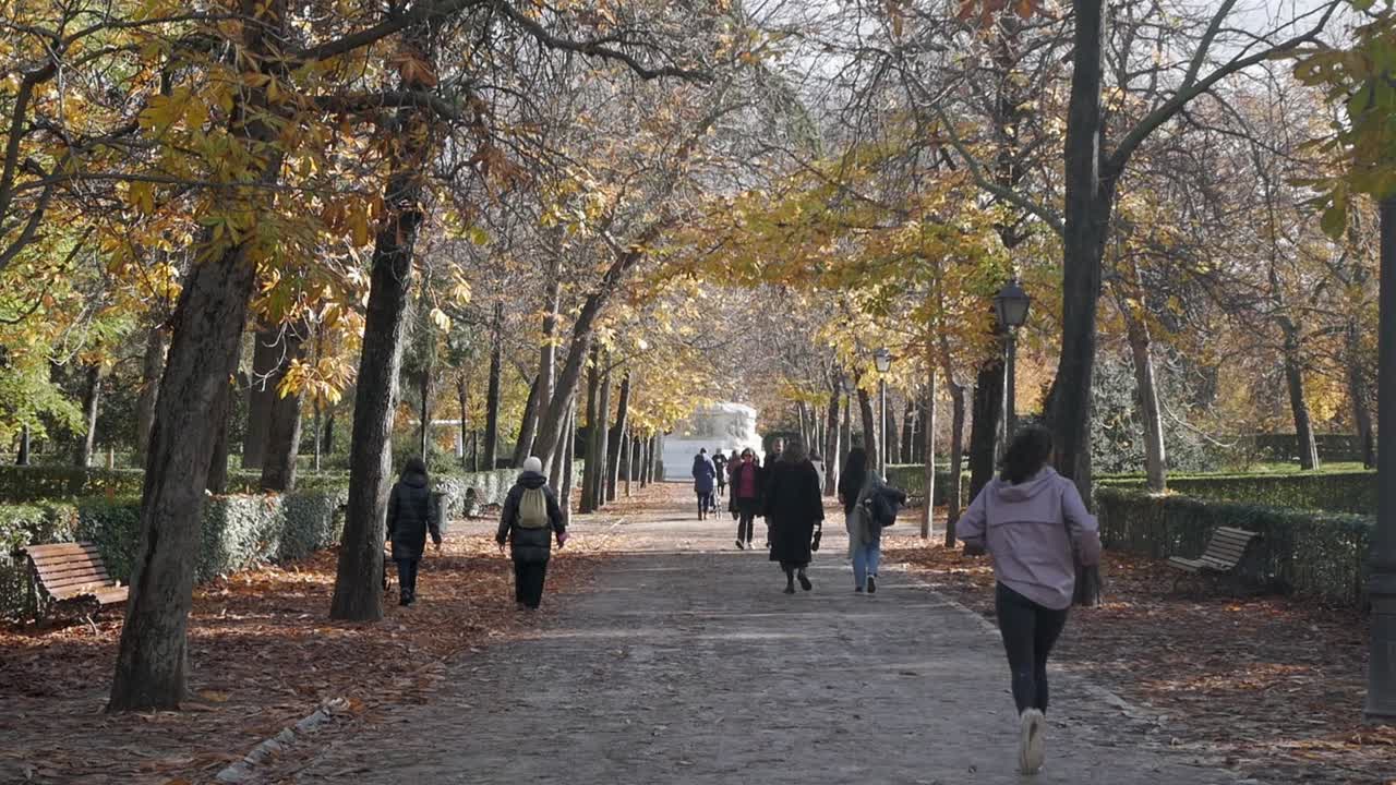 People stroll along Retiro park in Autumn day. Brown dry leaves on the ground and beautiful deciduous leave color on trees. Yellow, red, brown tones.