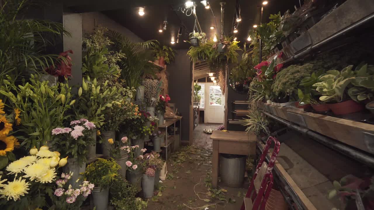 Inside of beautiful plant and flowers store warehouse for decoration. brighton, england uk