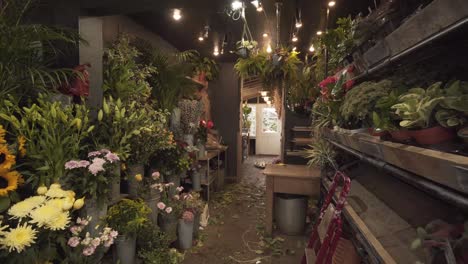inside of beautiful plant and flowers store warehouse for decoration. brighton, england uk