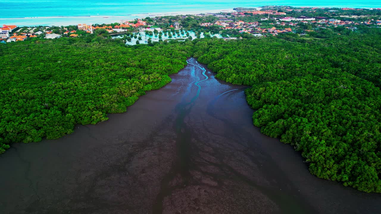 Aerial forest view of mangroves in Indonesia highlights green canopy swampy river channels and muddy wetlands the drone captures pristine natural reserve ecosystem filled with tropical biodiversity