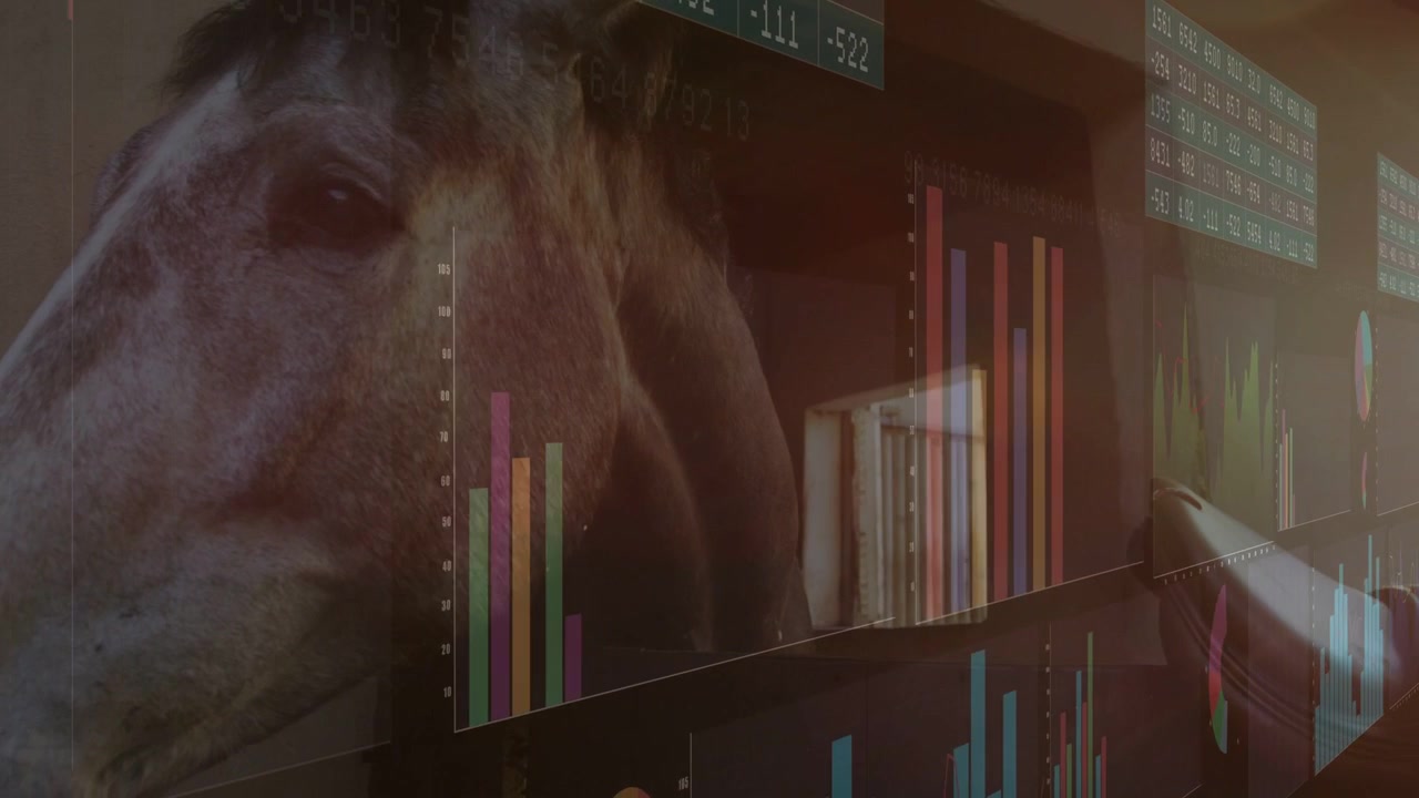 Panels appearing, charts shifting, horse head moving into view to show stable analytics blend