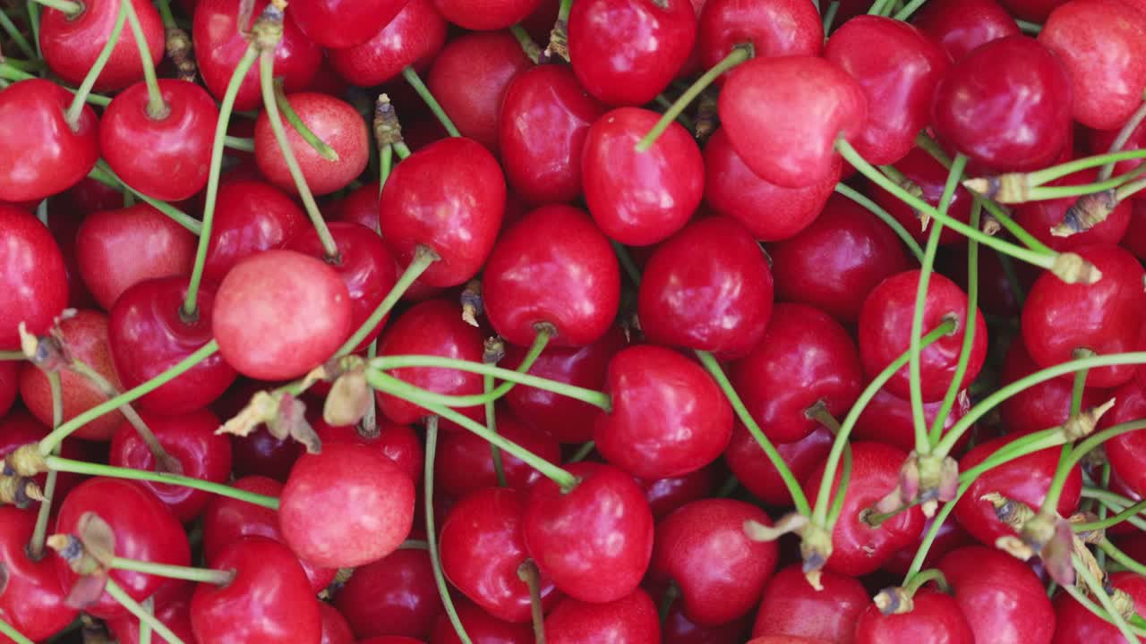 Buah ceri merah segar dan berair berputar. Ceri matang yang baru dipetik. Makanan vegetarian sehat