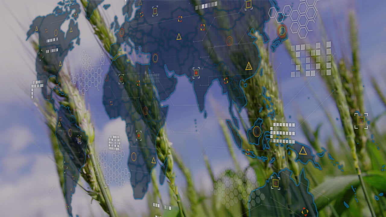 World map and data processing animation over agricultural field with wheat