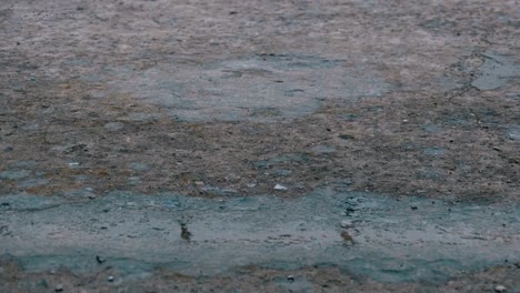 drops of rain fall to the pavement forming a puddle. time lapse