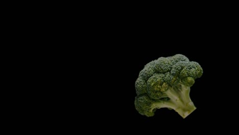 fresh delicious green broccoli falling isolated on black background, slow motion