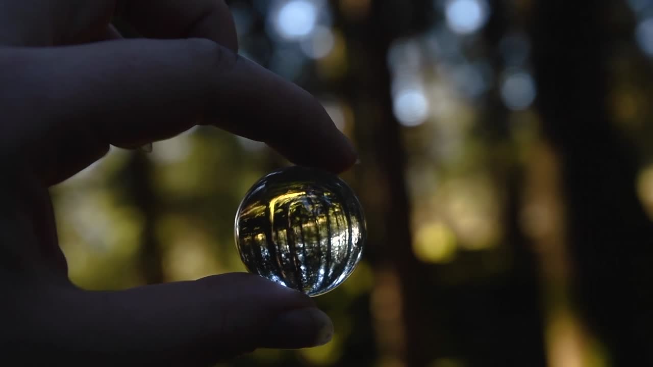 primer plano de una mano femenina joven que sostiene una pequeña bola de cristal que refleja el paisaje en un bosque otoñal mientras da vueltas
