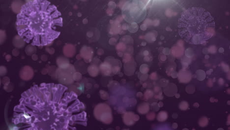 animation of covid 19 cells floating with multiple spots of light on purple background