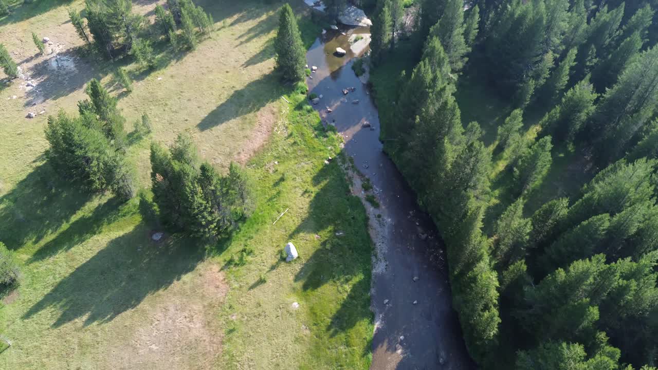 Forest view with a river from above