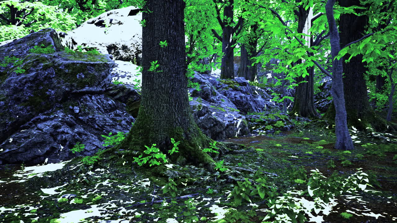 Lush forest landscape with vibrant greenery and rocky terrain in daylight