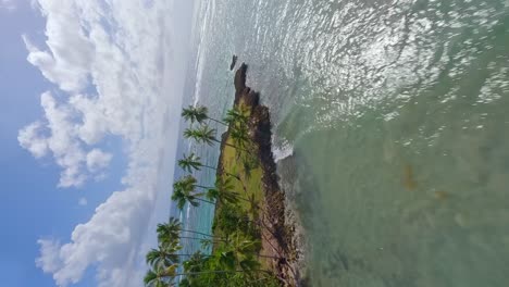 vertical shot of los coquitos beach with tropical palm trees during summer in maría trinidad sánchez, dominican republic