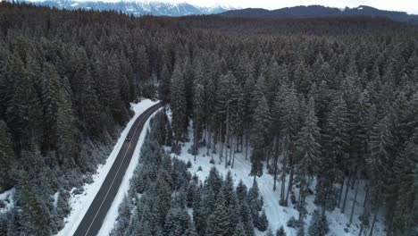 Drohnenaufnahmen,-Die-Ein-Auto-Auf-Einer-Straße-Durch-Einen-Dichten-Dunklen-Fichtenwald-Im-Winter-Fahren