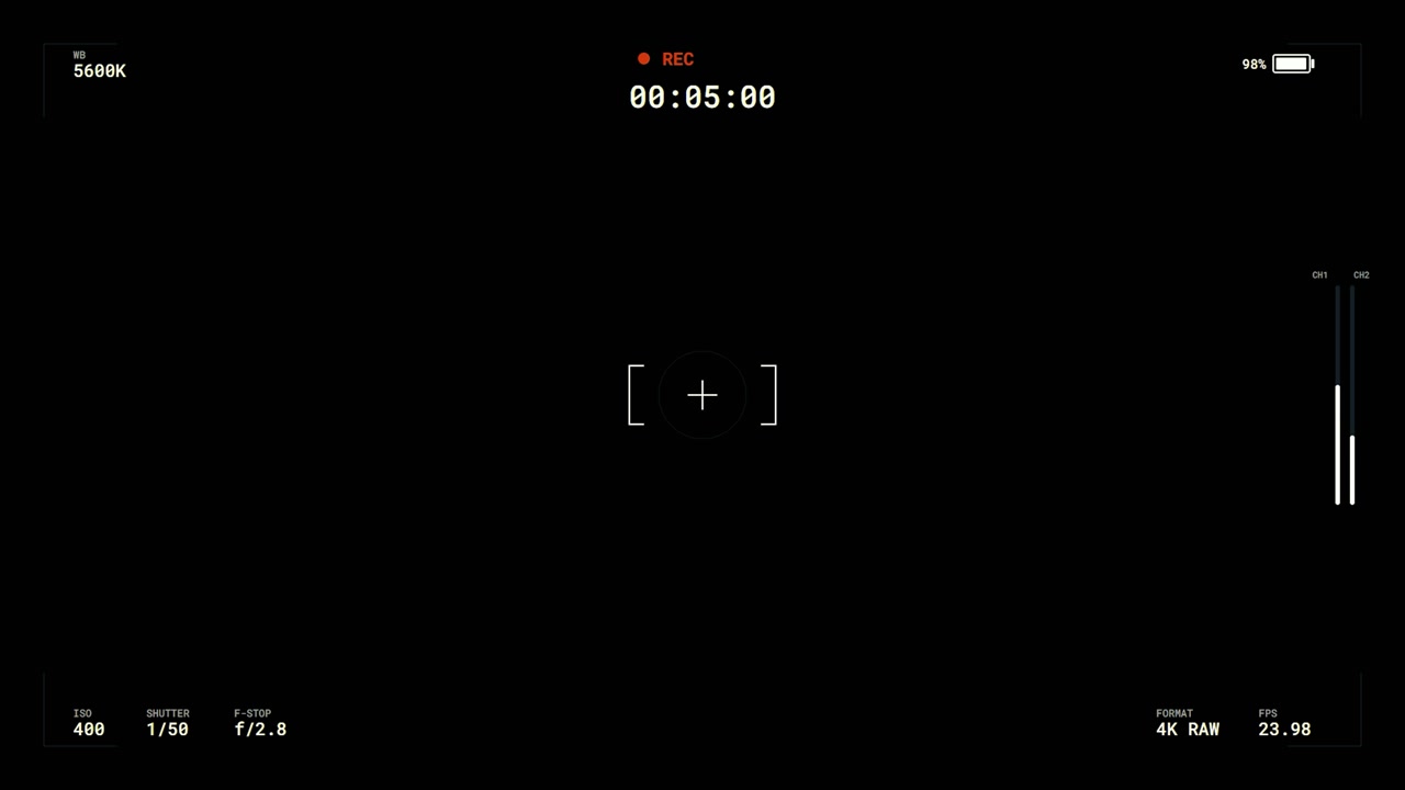 Digital Camera Viewfinder Overlay with Recording Interface