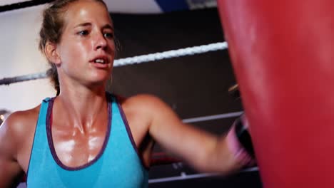 boxer practicing boxing with punching bag