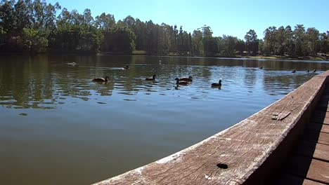 lapso de tiempo en un hermoso lago