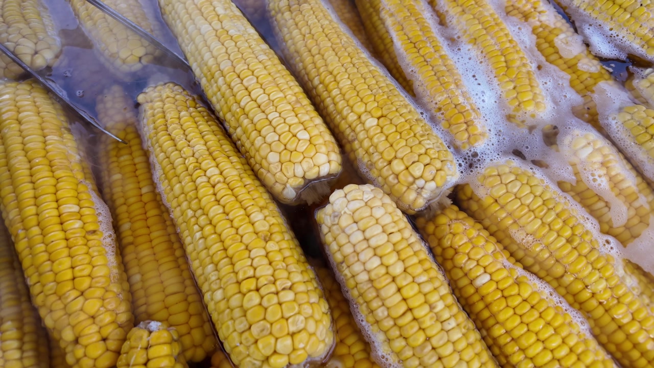 Fresh Yellow Corn Cobs Boiling in Hot Water