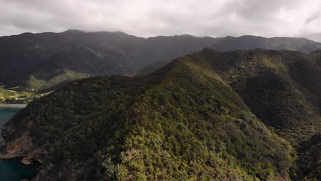 Aerial-reveal-of-New-Zealand-native-forest,-steep-green-hills,-cliffs-and-bay