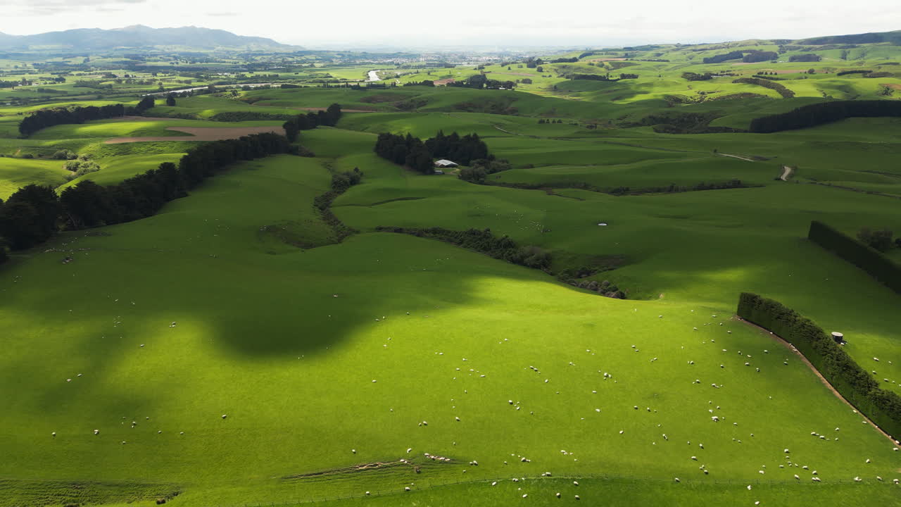 Vista a volo d'uccello di campi verdi sotto un cielo nuvoloso a Gore, Nuova Zelanda