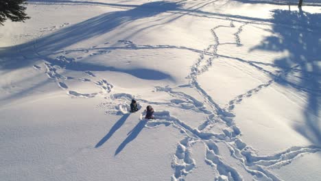 kids playing on a snowy area 4k
