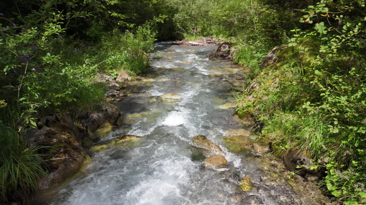 Mountain river water, small clean stream in the forest, pebble stones, static