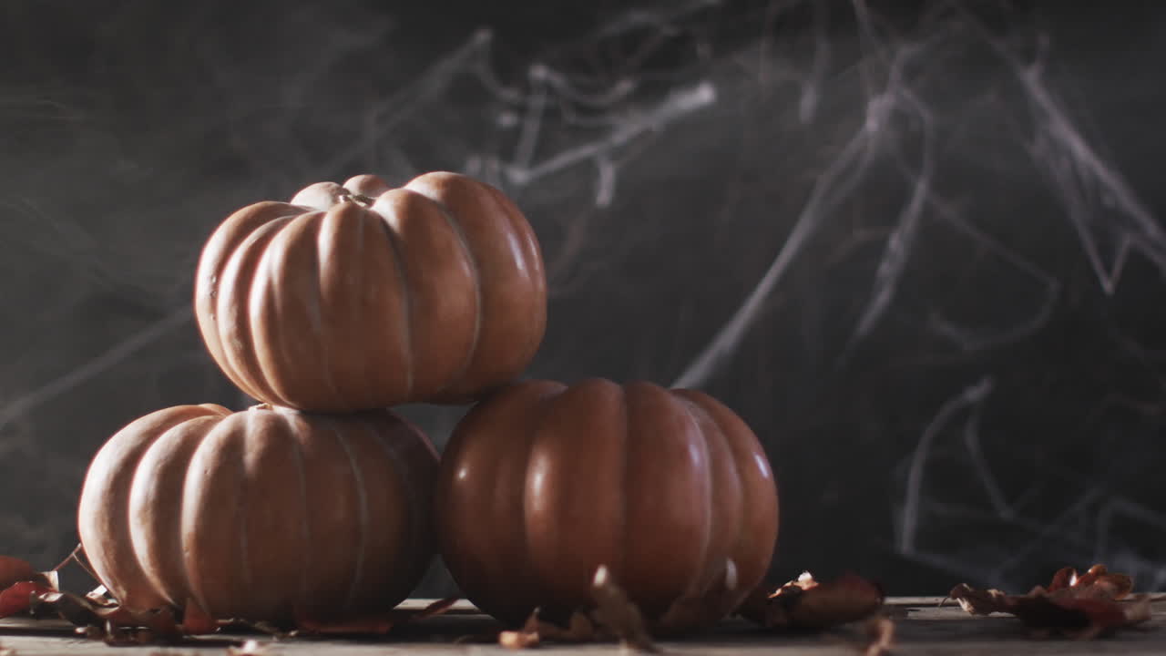 video de calabazas de halloween con red de araña y espacio de copia en fondo marrón