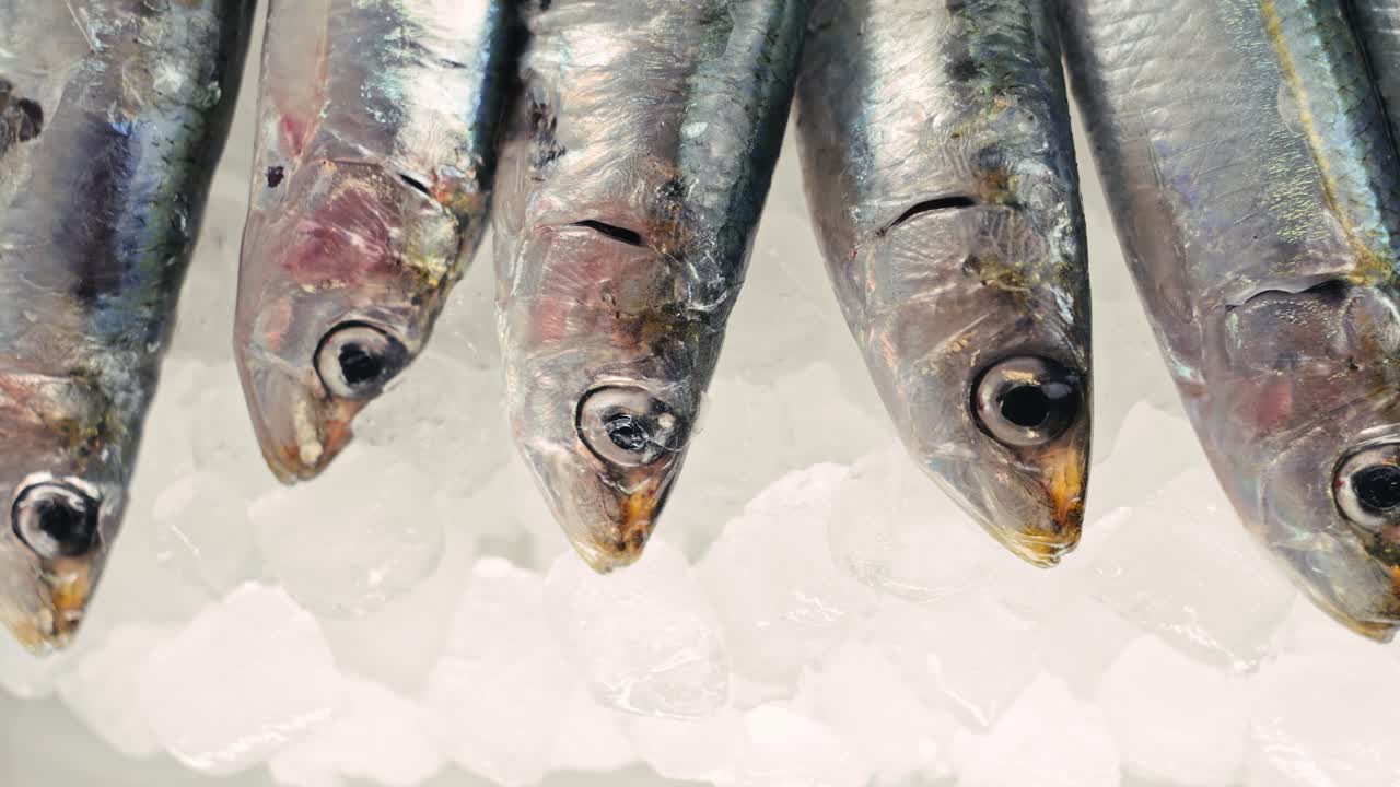 anchoas frescas en hielo