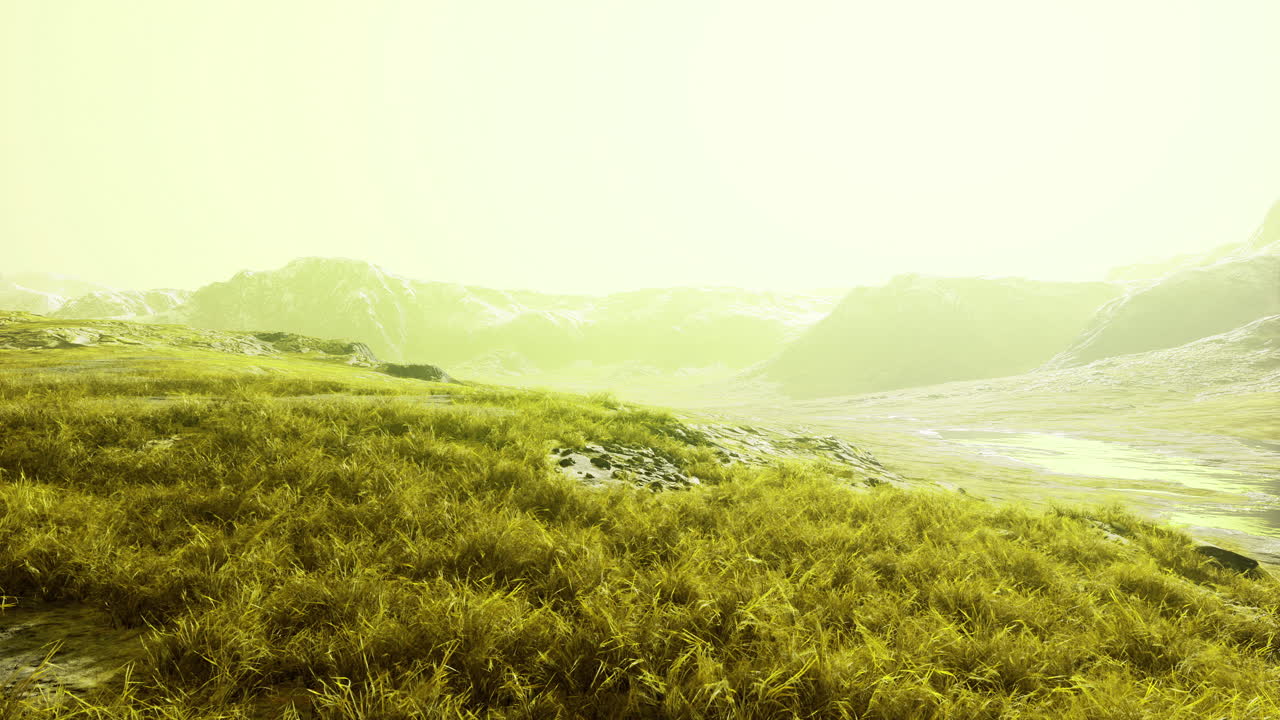 Vibrant green landscape with glowing ambiance during bright daylight