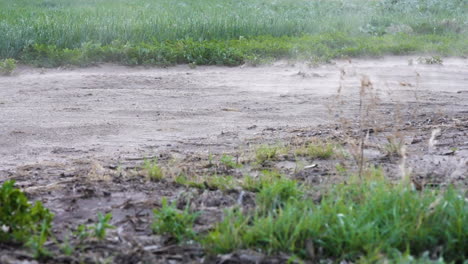 dirt and dust swirling around in strong winds