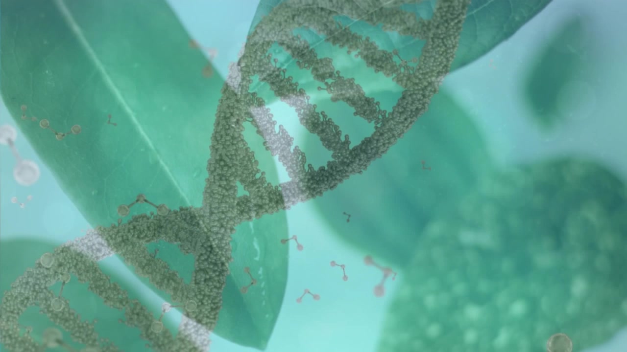 Animazione di un filamento di DNA che ruota su foglie.