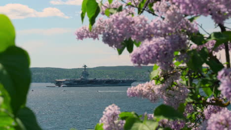 uss gerard ford aircraft carrier in oslo fjord seen through blooming lilac bush in norway