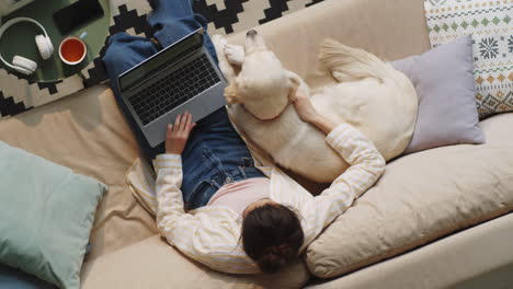 woman using laptop and petting dog on sofa at home