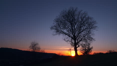 Lapso-De-Tiempo-Al-Atardecer,-Silueta-De-árbol