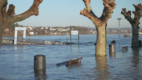 benches, trash cans, street lamps and trees standing in the flood water with river and city in the background. medium shot, tilting up.