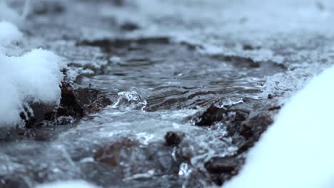 Macro-shot-of-small-clear-water-stream-on-a-winter-day