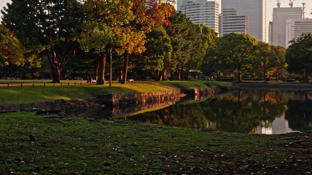 A serene park scene featuring a tranquil pond reflecting vibrant autumn trees, with modern city skyscrapers visible in the background, creating an urban oasis feel.