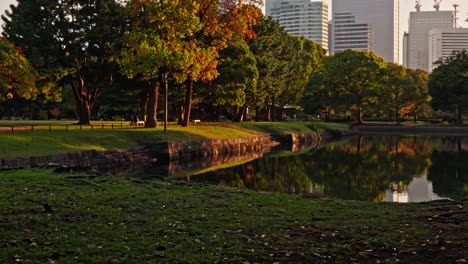 a serene park scene featuring a tranquil pond reflecting vibrant autumn trees, with modern city skyscrapers visible in the background, creating an urban oasis feel.