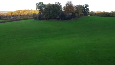 Fast-Retreating-Aerial-View-Over-Green-English-Field-with-Trees-4K